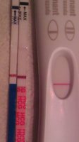 IMAG1067.jpg
