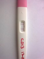 cd13..jpg