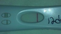 12dpo2.jpg