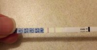 cd19only.jpg