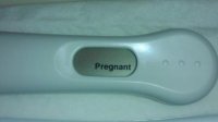 13dpo2.jpg