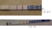 CD 19 vs CD20.png