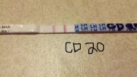 cd 20 again.jpg