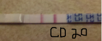 cd 20.png