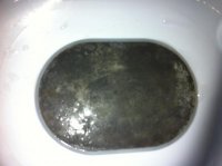 photo.jpg