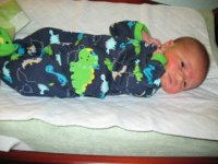 IMG_2896.jpg