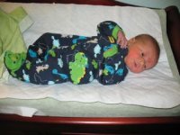 IMG_2897.jpg