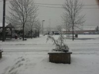 Winter storm - Jan 13, 2012.jpg