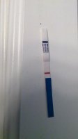 BFP2.jpg