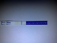 IMG-20120117-02130.jpg