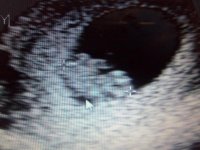 8 Weeks (2).jpg