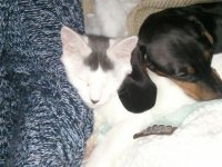 2012-01-18_15.43.31.jpg