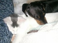 2012-01-18_15.48.53.jpg