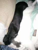 2012-01-18_15.53.52.jpg