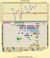 chartlikemine.jpg