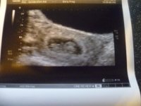 jan 2012 sort 073.jpg
