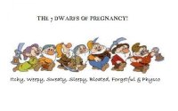 7DWARFS.jpg