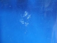 DSCF0459.jpg