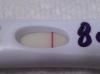 8dpo iphone2.jpg