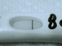8dpo iphone2 modified 2 (2).jpg