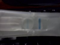 IMG_20120124_124242.jpg
