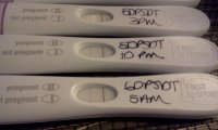 6dp5dt_2.jpg