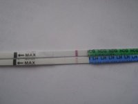 DSCI0371.jpg