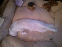 2012-01-24_14.25.24.jpg