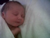 1 hour old (c).jpg