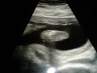 2012-01-27 16.02.22.jpg