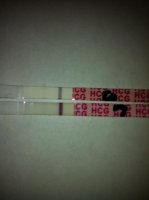 7dpo2.jpg