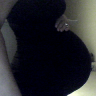 32 Week bump ~ DD2.png