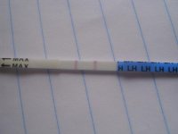 DSCI0395.jpg