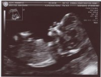 New Image2.jpg