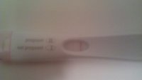 2.2.12.frer.jpg