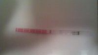 2.2.12.ic.jpg