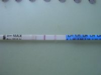 DSCI0401.jpg
