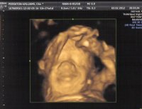 Baby2013.jpg
