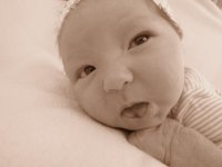 IMG_8598.jpg
