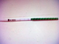 IMG00068-20120205-1348.jpg