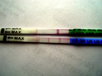 6dpo.jpg
