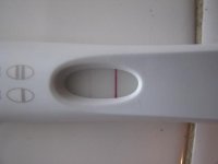 IMG_1840.jpg