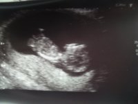 12wk2d 1.jpg