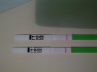 opk.jpg