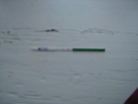 sept 09 004.jpg
