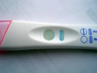 7dpo blue dye.jpg