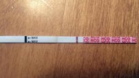 2012-02-10_09-29-55_111.jpg