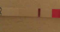 4dpo.jpg