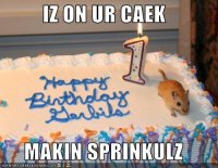 funny-happy-birthday_6103_1.jpg