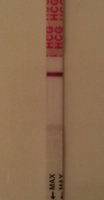 6dpo.jpg